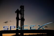 Here are the odds of SpaceX becoming the world's most valuable company