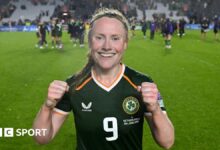 Republic of Ireland have nothing to lose against France - Barrett