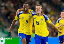 What is 'Snicko' and how does it work at the World Cup?