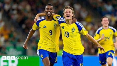 What is 'Snicko' and how does it work at the World Cup?