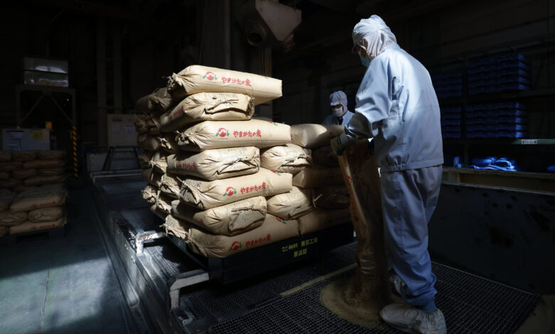 Japan wholesale inflation eases slightly to 7.2%, undershooting expectations