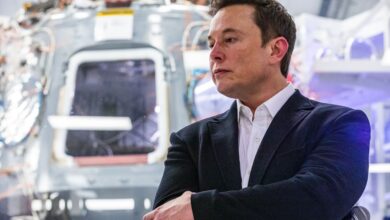 Musk urges top AI labs, Chinese companies to test each other's models amid calls for slowdown