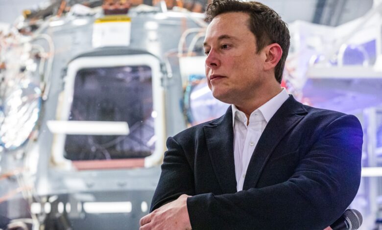 Musk urges top AI labs, Chinese companies to test each other's models amid calls for slowdown