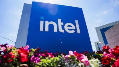 AI trade rebound sparks flurry of unusually bullish options activity