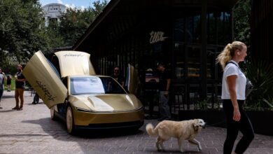Cybercabs are a game changer, says Mike Khouw. Here's how he's trading Tesla