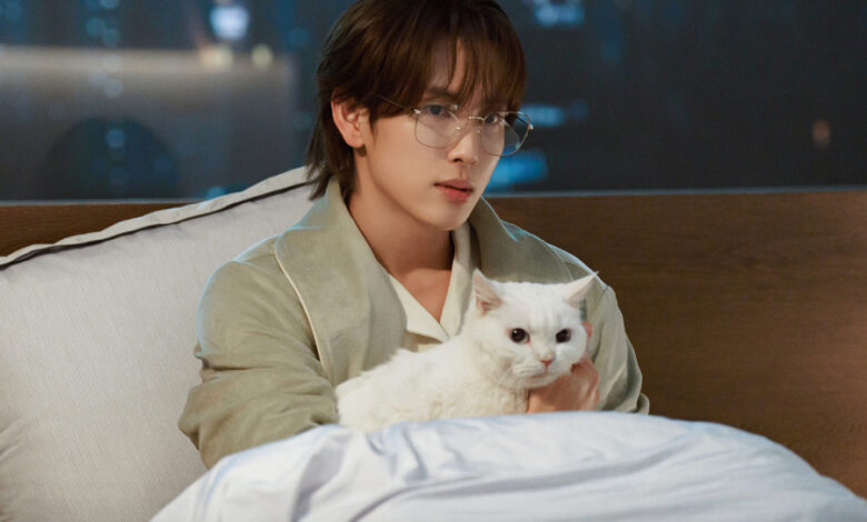 Yim Si Wan Is A Demanding Perfectionist At Work And A Loving Cat Dad At Home In “Love In Disguise”