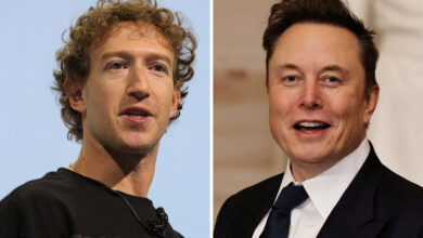 Meta and Tesla bulls get confidence boost after SpaceX earnings