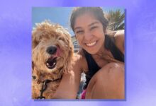 I quit my marketing job to walk dogs for 4 months: It's 'one of the most valuable professional experiences I've ever had'