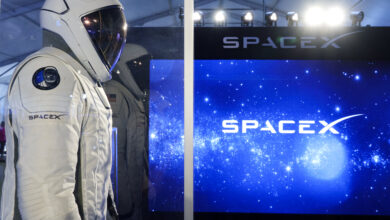 SpaceX up 10% in premarket after earnings beat and Musk hints at Tesla tie-up