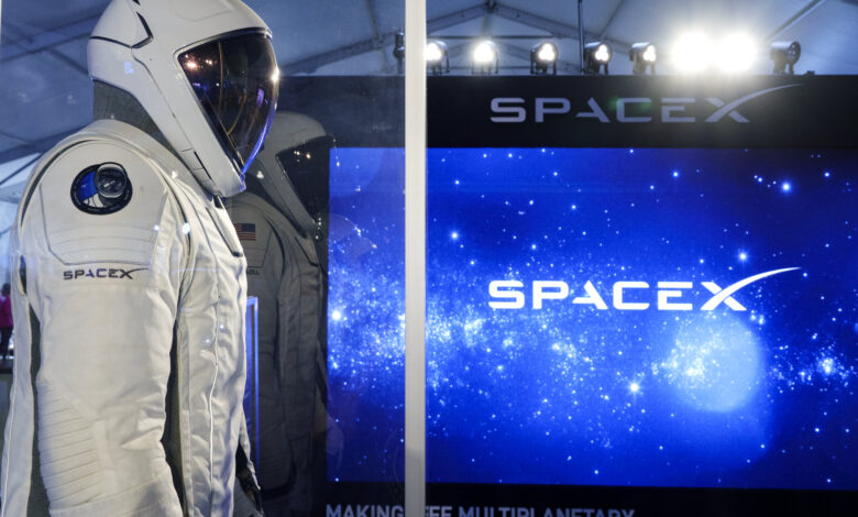 SpaceX up 10% in premarket after earnings beat and Musk hints at Tesla tie-up