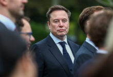Neocloud stocks fall as Elon Musk says more than 200 of them face 'guppy-level death'